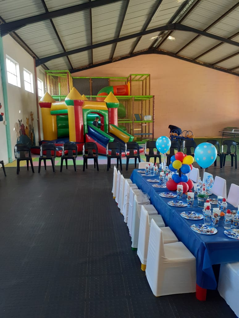 Themed birthday party table with matching plates and cups